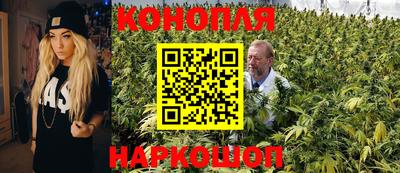 крисы Пыть-Ях