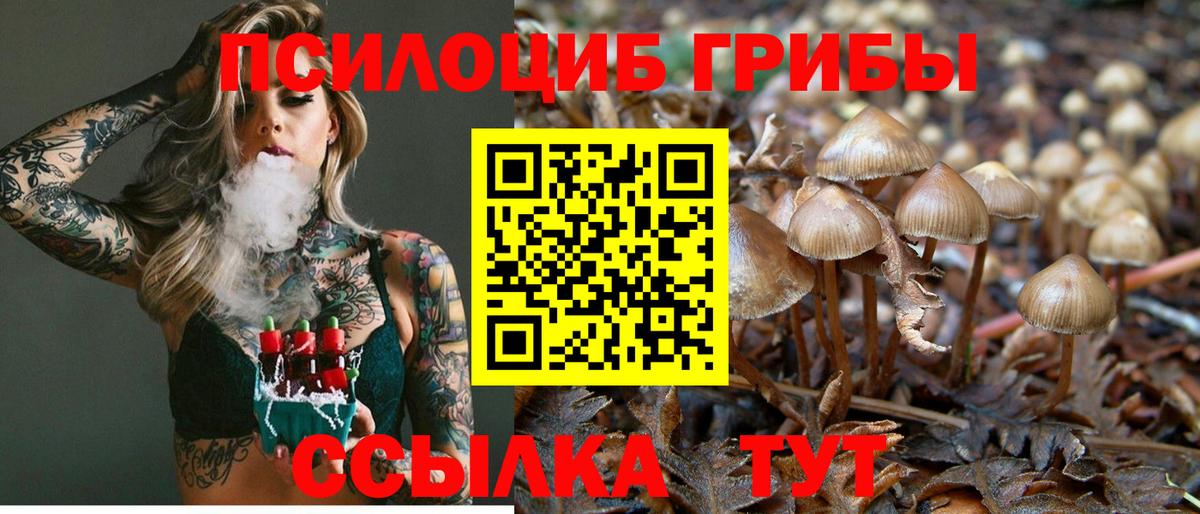 Галлюциногенные грибы ЛСД  Псилоцибиновые грибы ЛСД  Северск  Вход с VPN 